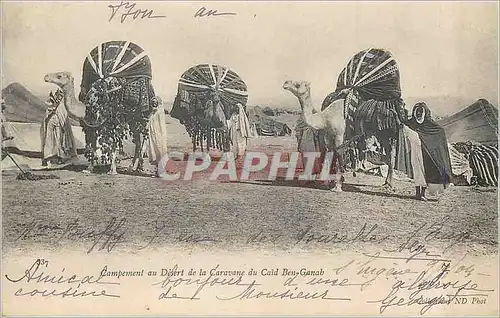 Cartes postales Campement au Desert de la Caravane du Caid Ben Ganab