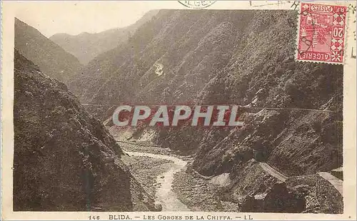 Cartes postales Blida Les Gorges de la Chiffa