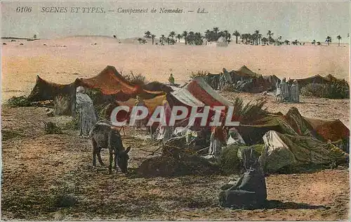 Cartes postales Scenes et Types Campement de Nomades Ane Donkey