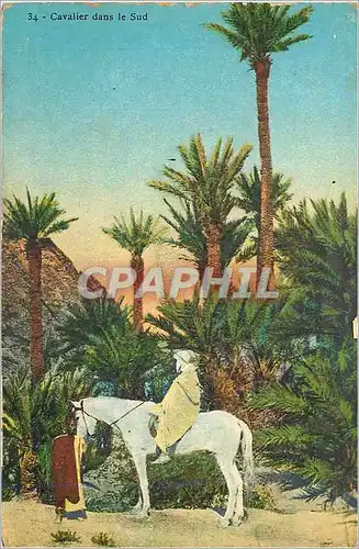 Ansichtskarte AK Cavalier dans le Sud Cheval