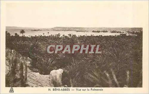 Cartes postales Beni Abbes Vue sur la Palmeraie