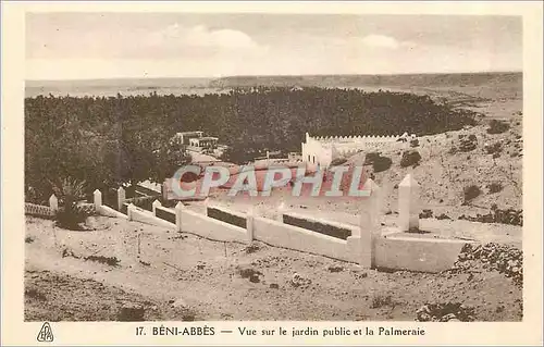 Ansichtskarte AK Beni Abbes Vue sur le Jardin Public et la Palmeraie