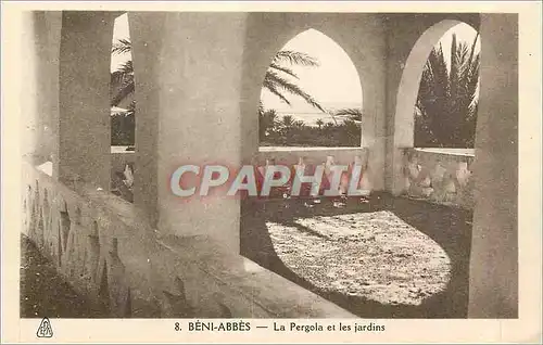 Cartes postales Beni Abbes La Pergola et les Jardins