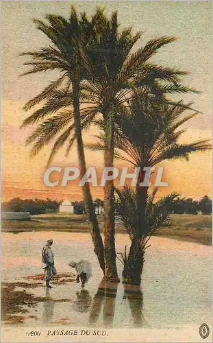 Cartes postales Paysage du Sud