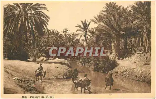 Cartes postales Passage de l'Oued Ane Donkey