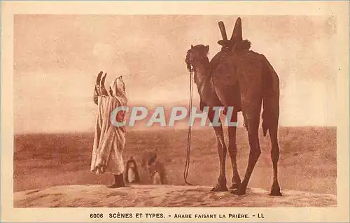 Cartes postales Scenes et Types Arabe Faisant la Priere Chameau