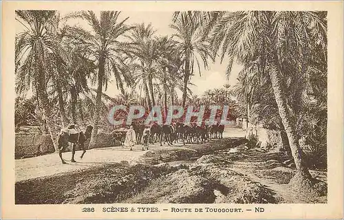 Cartes postales Scenes et Types Route de Tourggourt Chameaux