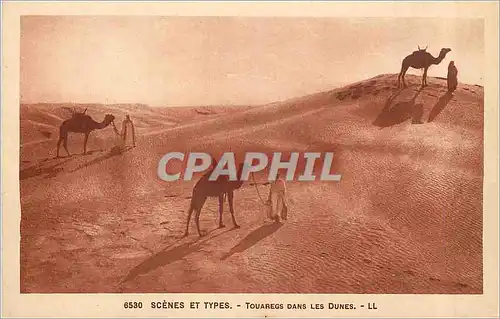 Ansichtskarte AK Scenes et Types Touaregs dans les Dunes Chameaux