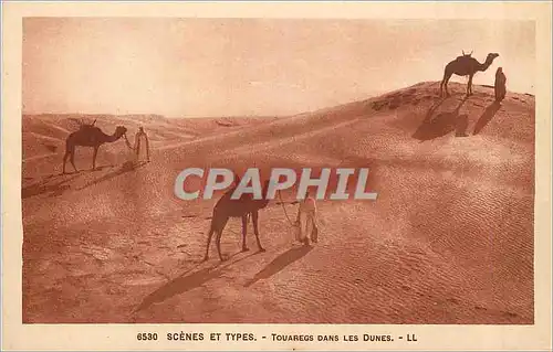 Cartes postales Scenes et Types Touaregs dans les Dunes Chameaux