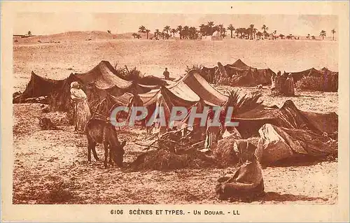 Cartes postales Scenes et Types Un Douar Ane Donkey