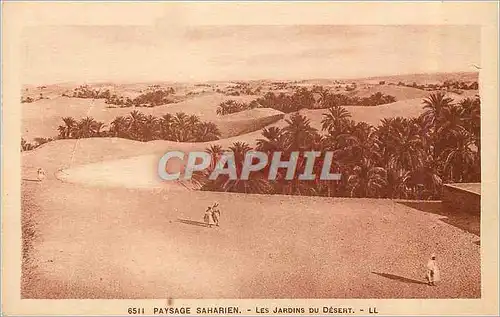 Ansichtskarte AK Paysage Saharien Les Jardins du Desert