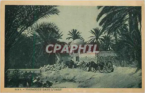 Cartes postales Marabout dans l'Oasis