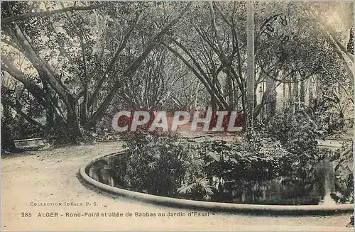 Cartes postales Alger Rond Point et allee de Baobas au Jardin d'Essai