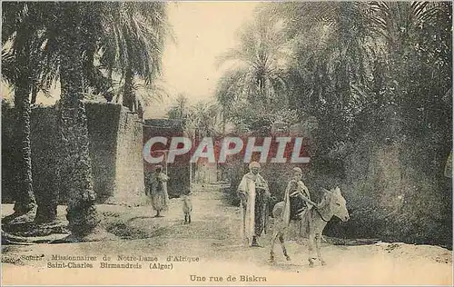Cartes postales Birmandrais (Alger) Une Rue de Biskra Missionnaires de Notre Dame d'Afrique Ane Donkey