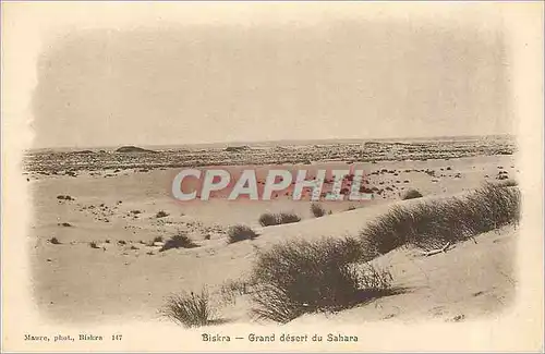 Cartes postales Biskra Grand Desert du Sahara