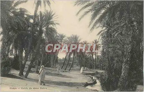 Cartes postales Biskra Entree du Vieux Biskra