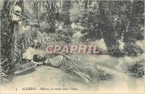 Cartes postales Algerie Biskra Le Repos dans l'Oasis Femme