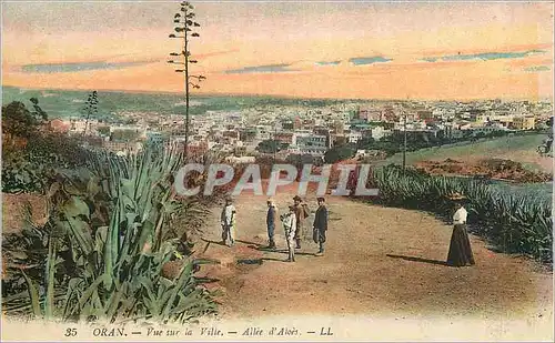 Ansichtskarte AK Oran Vue sur la Ville Allee d'Aloes