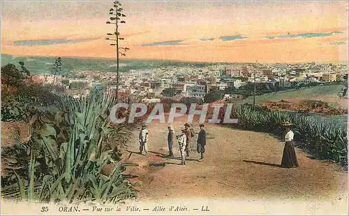 Cartes postales Oran Vue sur la Ville Allee d'Aloes