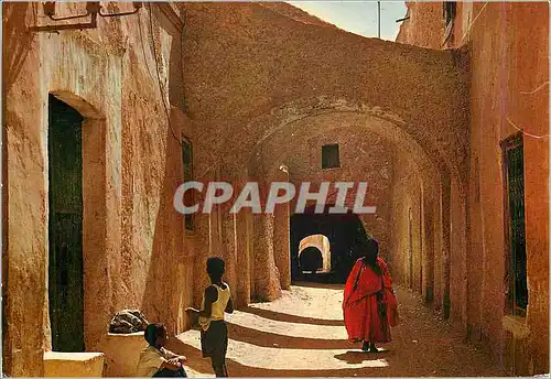 Cartes postales moderne Algerie Environs de Touggourt Temacine