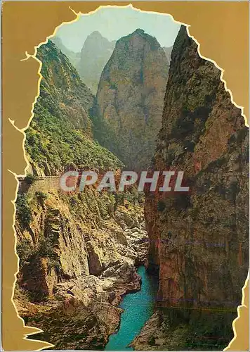 Cartes postales moderne Algerie Les Gorges de Kherrata