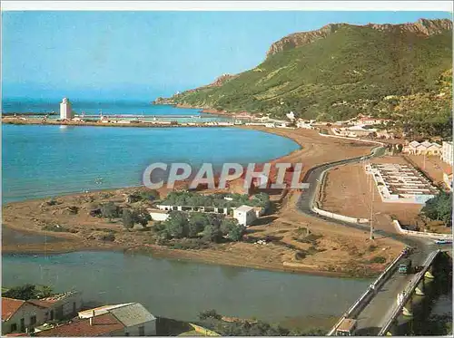 Cartes postales moderne Tenes Vue Partielle du Port