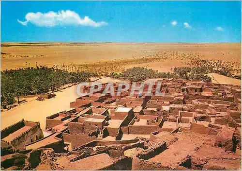 Cartes postales moderne Algerie Timimoun Ouled Said