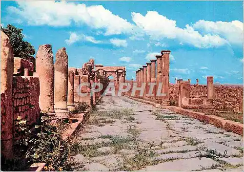 Cartes postales moderne Timgad Duci Magnus Maximum (Algerie)