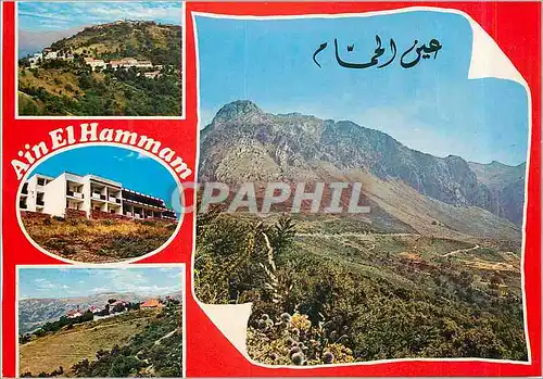 Cartes postales moderne Algerie Ain El Hamman