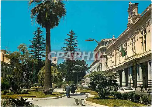 Cartes postales moderne Annaba Algerie Cours de la Revolution