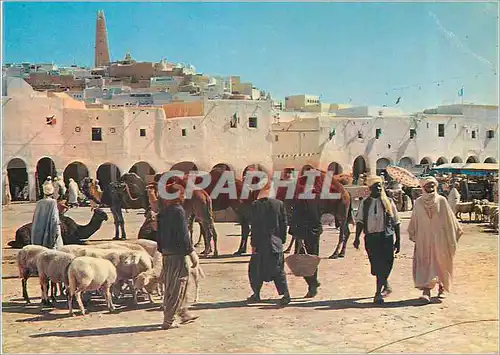 Moderne Karte Ghardaia Le Marche Moutons Chameaux