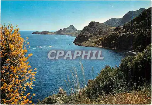 Cartes postales moderne Algerie La Corniche Jijellienne
