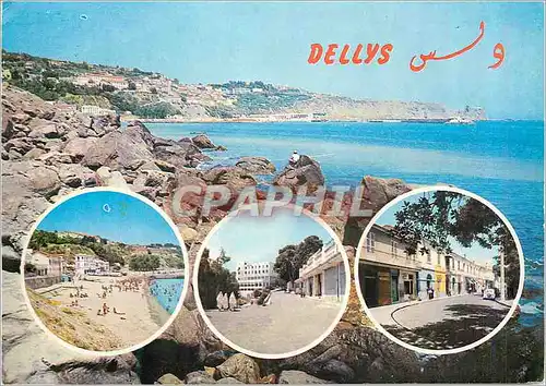 Cartes postales moderne Dellys Algerie