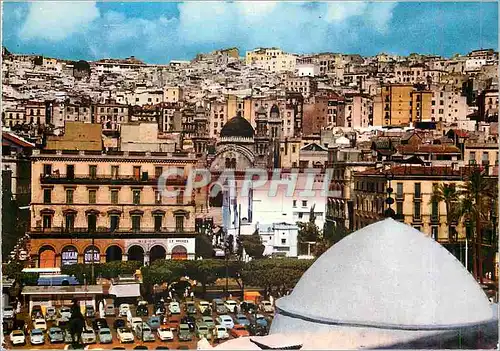 Cartes postales moderne Alger Vue sur Bad El Oued Automobiles