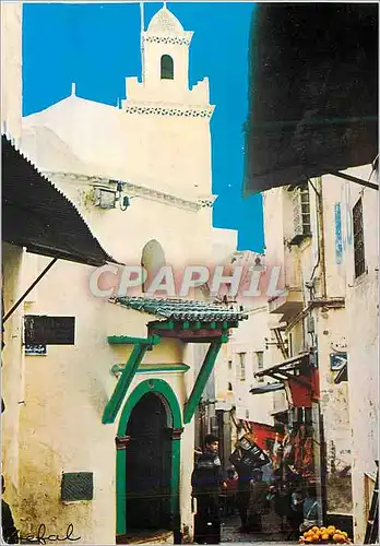 Moderne Karte Alger Au Coeur de la Casbah