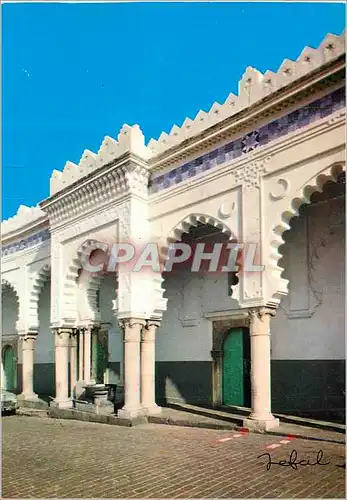 Cartes postales moderne Alger Grande Mosquee