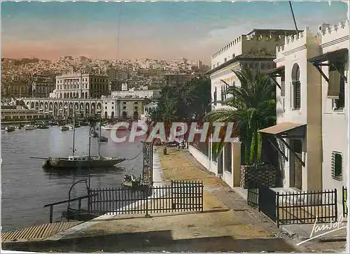 Cartes postales moderne Alger L'amiraute Bateau