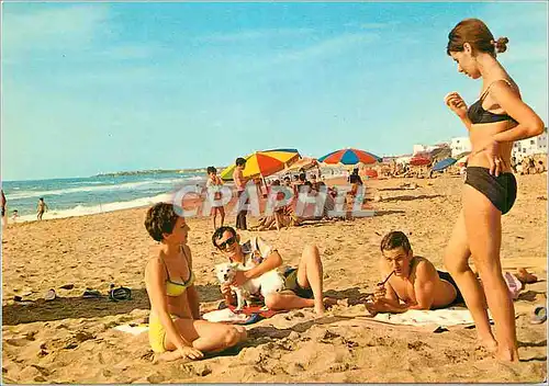 Cartes postales moderne Les Plages d'Alger Staoueli Club des Pins