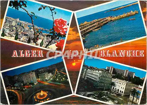 Cartes postales moderne Alger La Blanche Vue d'ensemble sur la Casbah Pointe Pescade Place du Ier Mai Place
