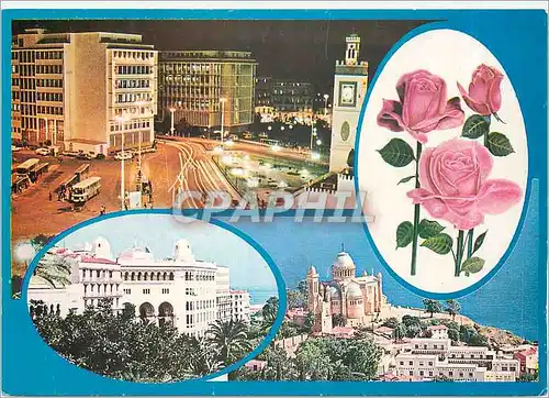 Moderne Karte Alger La Blanche Vue Generale Rose