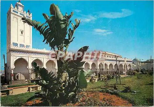 Moderne Karte Alger La Blanche La Grande Mosquee