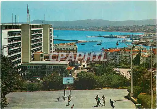 Cartes postales moderne Alger La Blanche Palais du Gouvernement et Boulevard Mohamed Khemisti Basket Ball Basket-Ball