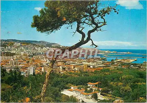 Cartes postales moderne Alger La Blanche Vue Generale