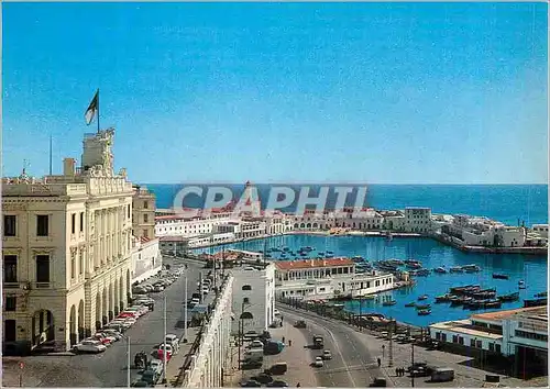 Cartes postales moderne Alger Chambre de Commerce et le Port Nautique Bateaux