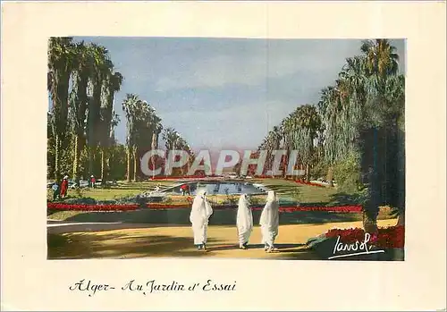 Cartes postales moderne Alger Au Jardin d'Essai Femmes Folklore