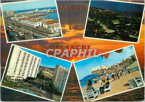 Cartes postales moderne Alger La Blanche Vue d'ensemble sur le Port Vue Generale Place du Ier Mai Pointe Pescade