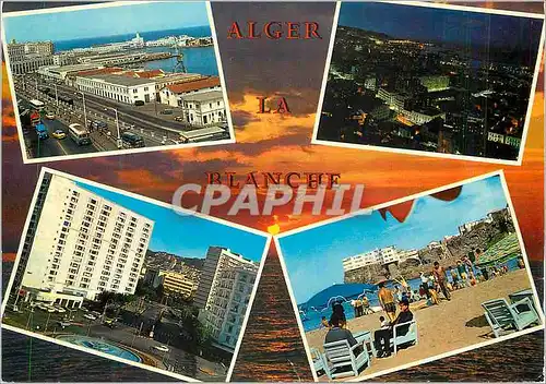 Cartes postales moderne Alger La Blanche Vue d'ensemble sur le Port Vue Generale Place du Ier Mai Pointe Pescade