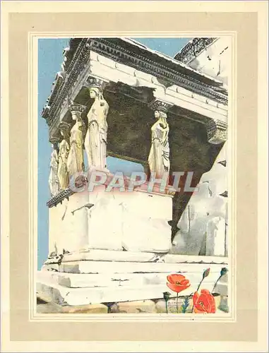 Cartes postales moderne Karyatides de l'Erechtheion