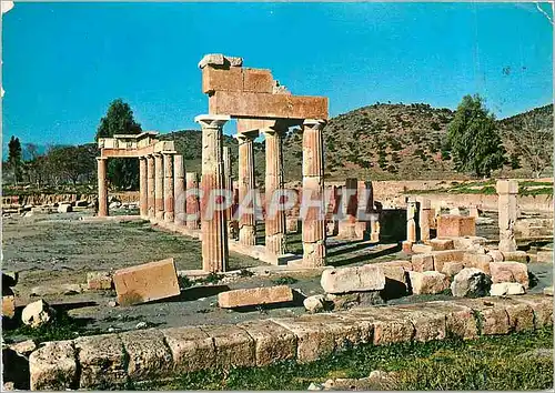 Cartes postales moderne Athenes Brauron Sanctuaire d'Arternis la Colonnade vue de l'Ouest