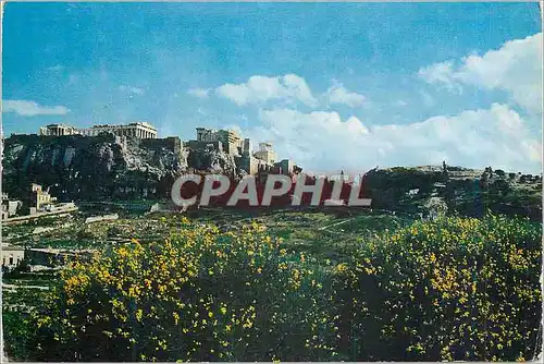 Cartes postales moderne Athens View of the Acropolis